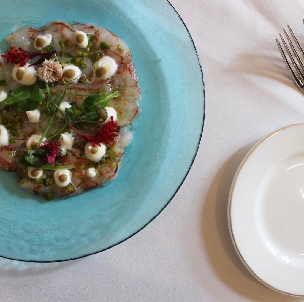 tullio miami high end restaurant in coral gables ponce de leon blvd website design food photography